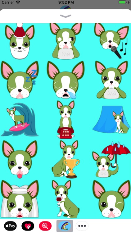 St Patrick's Boston Terrier screenshot-4