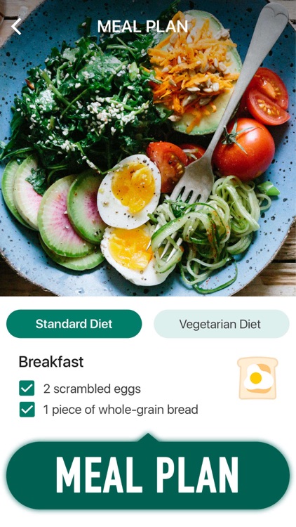 30 Day Fitness Challenge Pro