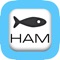 The Fishing Hampshire app - more than just a venue finder