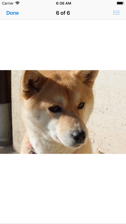 Shiba Inu Sticker Pack screenshot-7