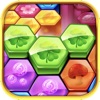 Match Block: Hexa Puzzle