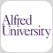 Alfred University Experience
