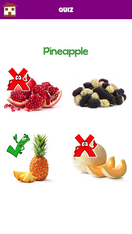 Learn Fruits Vegetables
