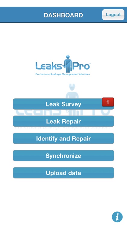 LeaksPro Repair