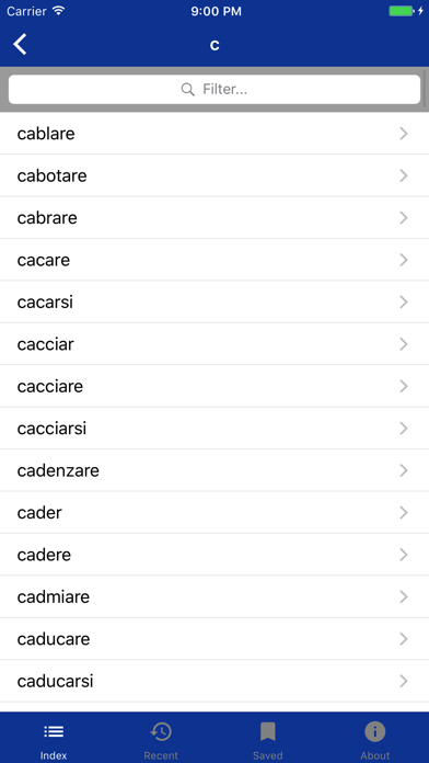 How to cancel & delete Italian Verbs Dictionary from iphone & ipad 2