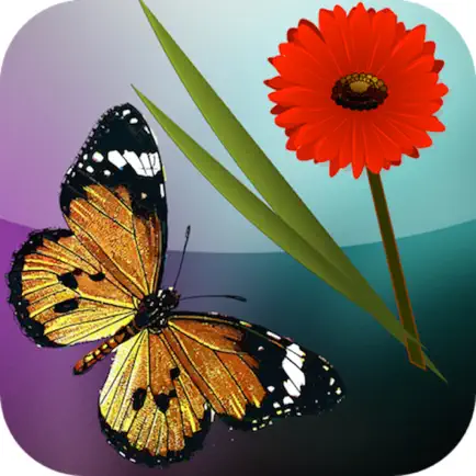 Sensory Touch and Learn - Butterflies, Fruit and Flowers Читы