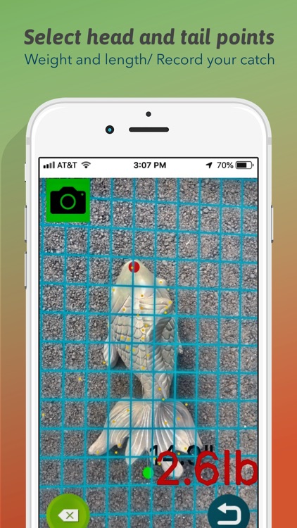 WetRuler screenshot-3