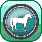 Top 20 Education Apps Like Classification Animals - Best Alternatives