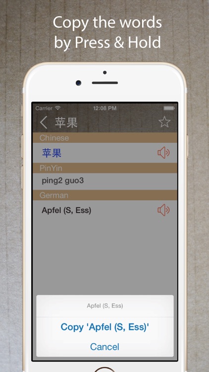 Chinese French Dictionary 法中词典 screenshot-3