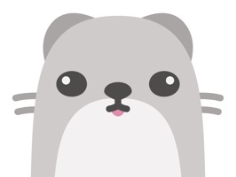 Meet Baubau, the little weasel