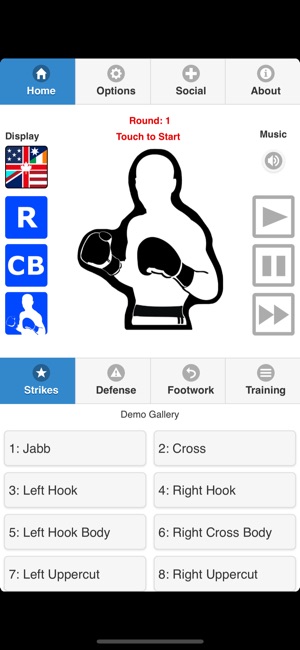 Cyber Boxing Pro