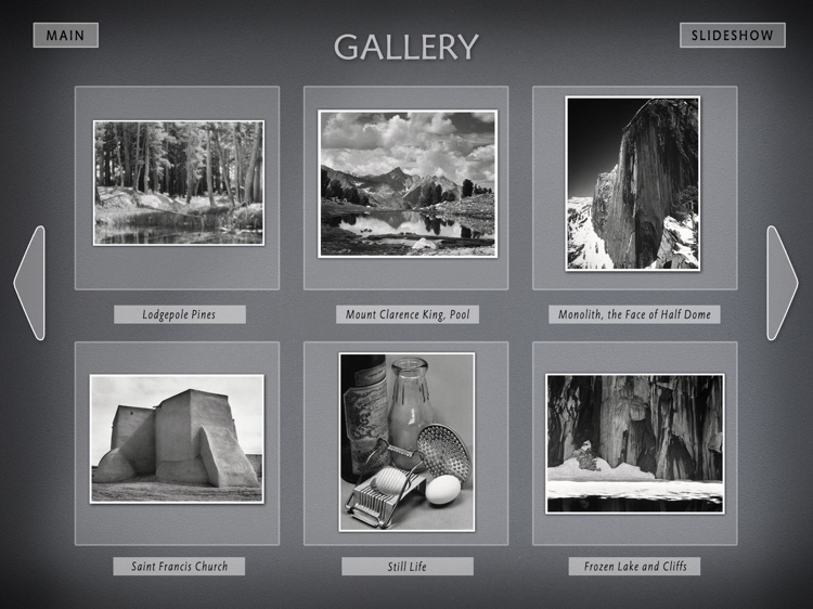 Looking at Ansel Adams screenshot-3