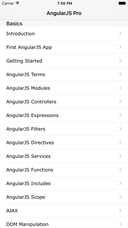 AngularJS Pro