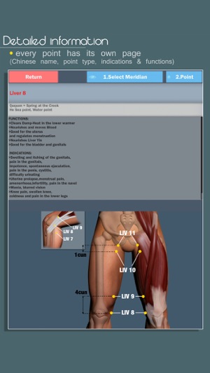 Easy Acupuncture 3D -FULL(圖5)-速報App