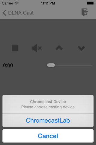 DLNA for Chromecast screenshot 2