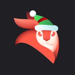 Enlight Videoleap Video Editor