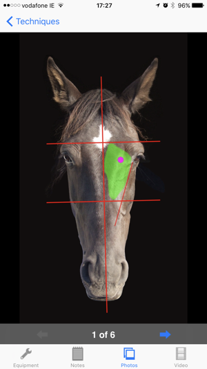 BEVA Equine Techniques