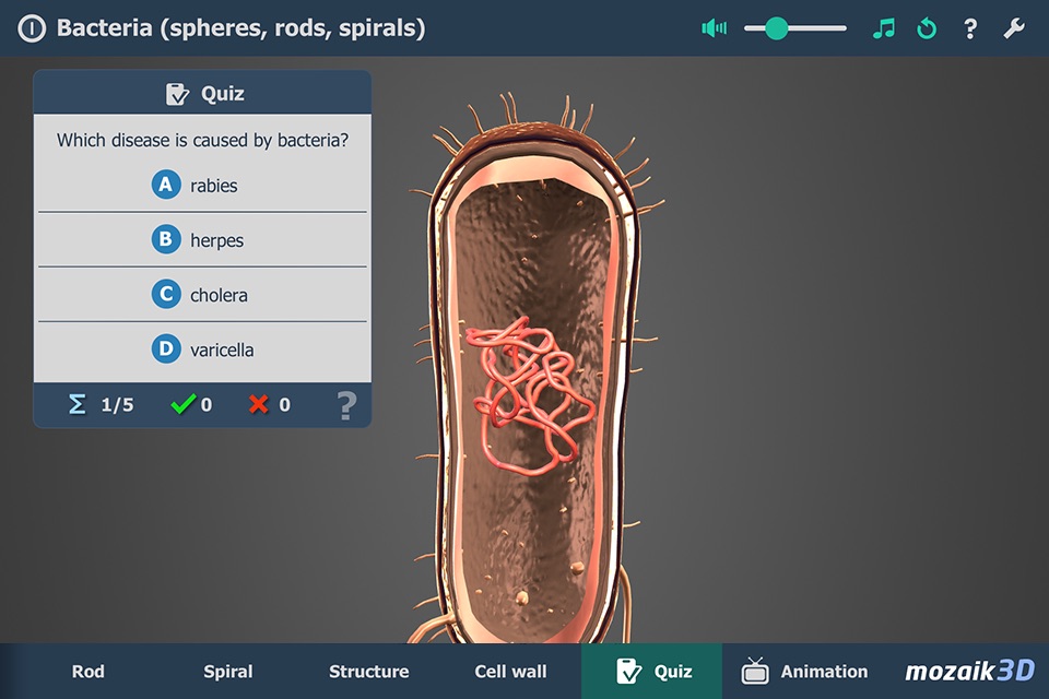 Bacteria 3D screenshot 3