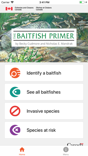 Baitfish Primer