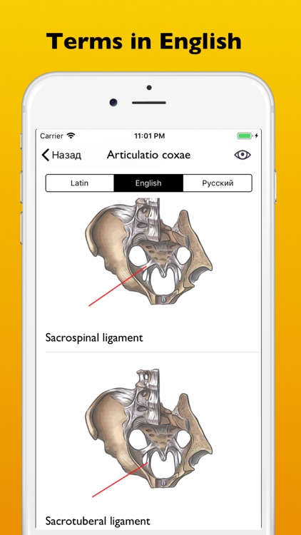 Atrhrology atlas app