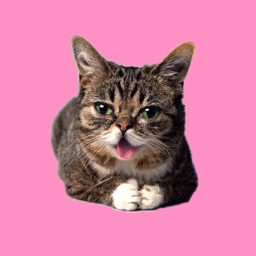 Lil BUB's Lovable Stickers icon