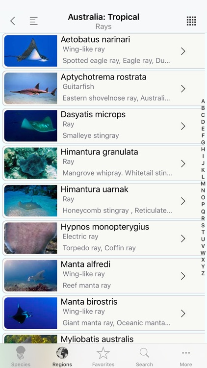 Sharks & Rays, by Reef Life screenshot-3