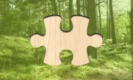 Picture Puzzlers Cheats