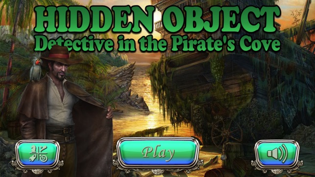 Detective in the Pirate's Cove