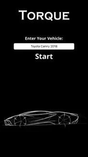 torque app - obd2 car check pro iphone screenshot 2