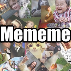 Activities of Meme with Me