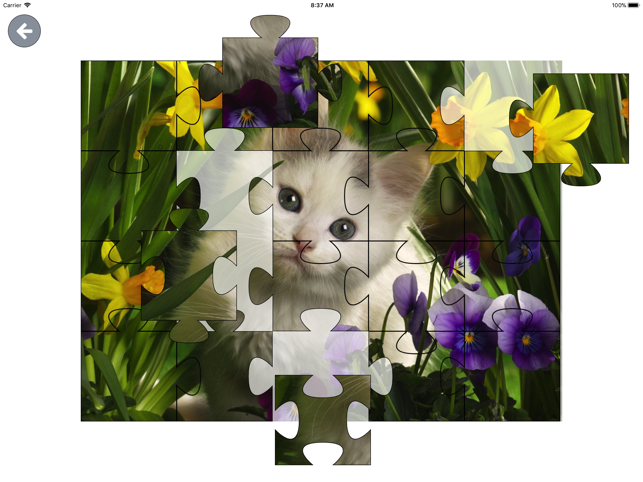 Animal Puzzle Jigsaw HD(圖3)-速報App