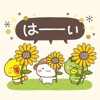 大人の親切で丁寧な言葉【夏】