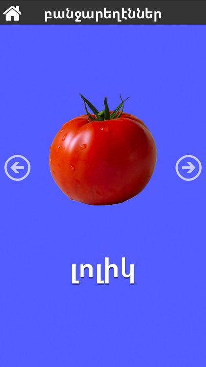 First 50 Words - Armenian Lite