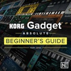Beginners Guide for Gadget 101