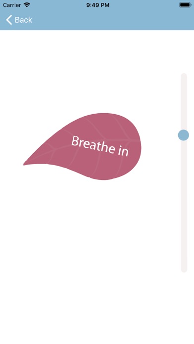 Breathing Exercises screenshot 3