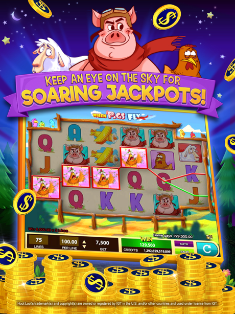Tips and Tricks for Hoot Loot Casino: Fun Slots