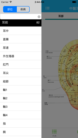 中医耳穴大全(圖1)-速報App