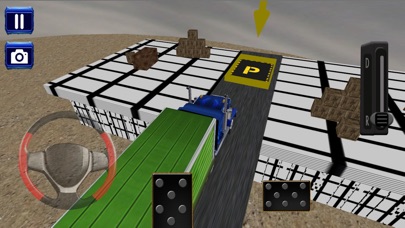 Truck Space Parking 3D screenshot 4