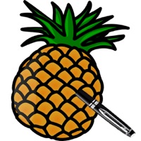 PPAPen pour PC