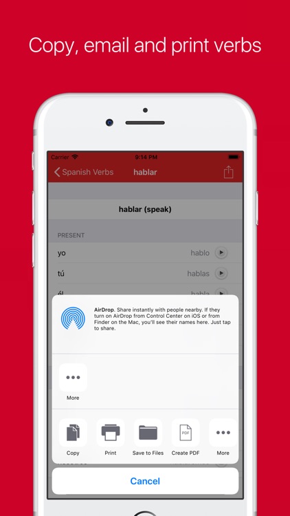 Spanish Verb Conjugator Pro screenshot-4