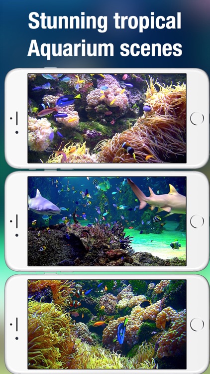 Aquarium Live HD