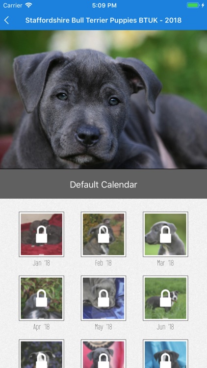 DogDays - Calendar with Dogs