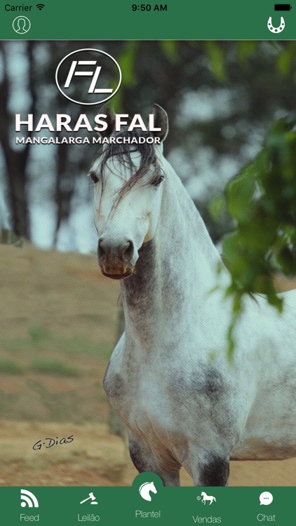 Haras Fal