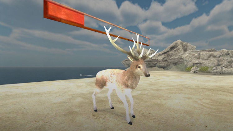 Animal Safari Hunter screenshot-3