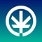 Use Muncheez to shop your favorite cannabis, marijuana and weed products from trusted and licensed deliveries or dispensaries