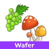 Veggie Stickers (Wafer)
