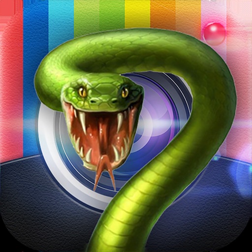 Snake Camera