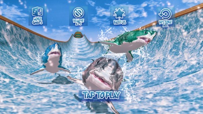 Shark Slide Racing 2018 screenshot 3