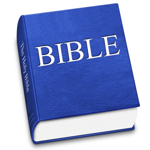 Bible (multiversion)