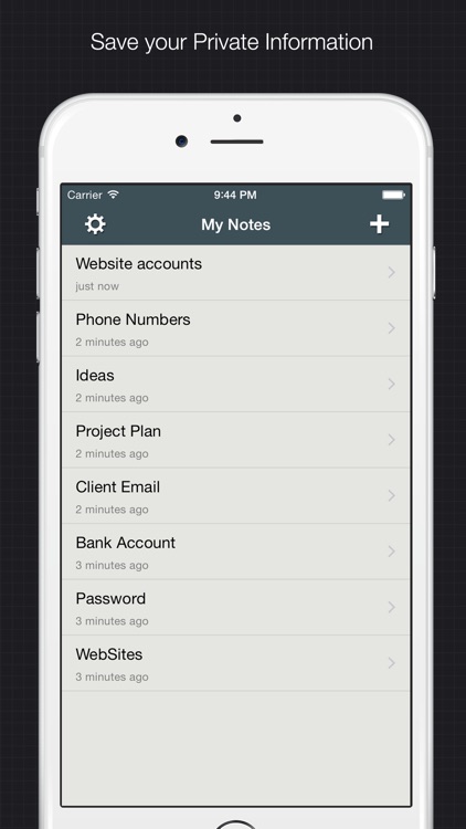 Private Note: hide secret text